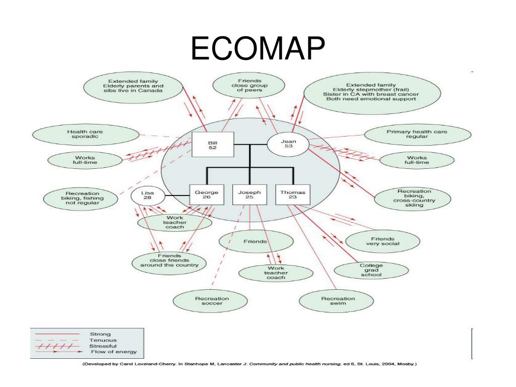 Genogram and ecomap software